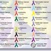 Blue means prostate cancer, jade means liver cancer, pink means breast cancer, purple means pancreatic cancer, andmore? 1