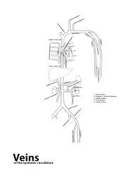 All pictures are subject to our image. Mn 6457 Body Diagram Unlabeled Wiring Diagram