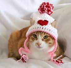 Valentines Day Hat For Cats Heart Cat Hat Valentines Day Cat Etsy Valentines Day Cat Cat Accessories Cat Hat