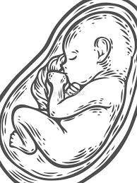 We did not find results for: Cute Baby In Womb Drawing Novocom Top