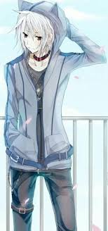 White Haired Anime Guy Wearing A Neko Hoodie Cute Anime Boy Anime Cat Boy Cute Anime Guys