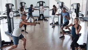 Motion fitness, elk grove village, illinois. Home Exercise Equipment Freemotion Fitness