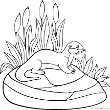 Sea otter eating sea urchin coloring page from otters. Otter Coloring Pages Coloringall