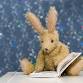 Combined Preschool Storytime