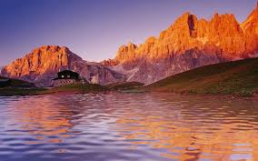 11,423 best nature free video clip downloads from the videezy community. Best Nature Wallpaper Gif