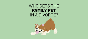 All about pets and pet care for the family pet. Pet Custody 101 Who Gets The Pets In A Divorce Survive Divorce