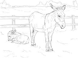Donkey With Baby Coloring Page Free Printable Coloring Pages Horse Coloring Pages Baby Coloring Pages Farm Animal Coloring Pages