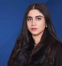 Mentors — AccessEd PK