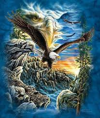 Eagle Hoodie Find 11 Eagles Eagle Images Eagle Pictures Native American Art