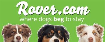 Peace of mind pet sitting. Love Your Dog Live Your Life Rover Com Offers Pet Parents A Peace Of Mind Digital Innovation And Transformation