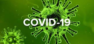 Anthony fauci, director of the national institute for allergy and infectious diseases who has been nominated by. Covid 19 How Do I Implement Working From Home Outsourced Hr Perth Vitil