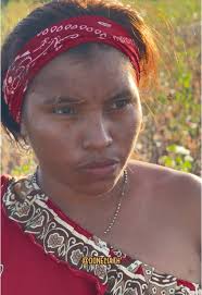 Los Wayuu y el Algodón: Cultivo y Opiniones en Comentarios