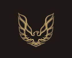 Free download pontiac firebird emblem wallpaper image 24 1280x800 for your desktop mobile. Trans Awesome Firebird Trans Am Pontiac Firebird Firebird