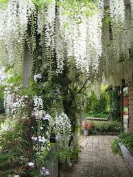 Heavenly Tree Shrouded Garden Area ƹӝʒ Sweets Sg33 Moon Garden Beautiful Gardens White Gardens