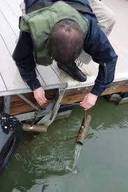 Lake Piru - Piru, Ca - Fish Reports & Map