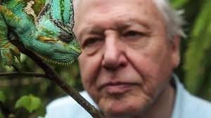 If the @DavidAttenborough documentary wasn't enough to make you think twice  about how you eat and shop for food ( then watch it again ).. but it's no  secret the health benefits