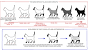 Blue Colorpoint Cat