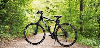 Quiz Welcher Fahrradtyp Seid Ihr Mit Bildern Fahrrad Radfahren Quiz