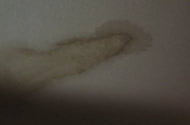 The invasive, organic growth of the ceiling leak, AI generated