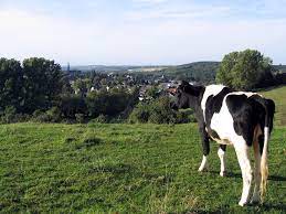 3 country point is where the netherlands, germany and belgium meet in one single point. Highest Point In The Netherlands Heavenly Holland