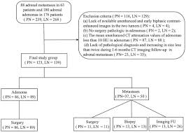 Prior imaging if available) and cancer history. Adrenal Metastases Early Biphasic Contrast Enhanced Ct Findings With Emphasis On Differentiation From Lipid Poor Adrenal Adenomas Clinical Radiology