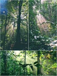 Check spelling or type a new query. 9 Jam Mendaki Gunung Angsi Bersama Anak Anak Yang Comel