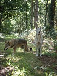 Ils ont fait le choix de nous accompagner pour. La Spa Refuge De Redon Home Facebook