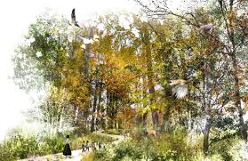 Raft Forest Walk Design Rendering Landscape Architecture Urban Forest Landscape