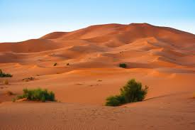 As spain prepared to withdraw from its colonial territory in 1975, morocco stepped in and occupied most of the western. Hotspot Western Sahara Geographical Magazine