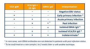 Laboratory Testing Epstein Barr Virus Vca Igg Positive