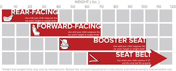 Recommendations Tips Buckle Up With Brutus