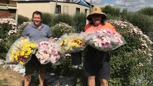 Ginger is a sweet little citrus toned glass cube of all orange toned flowers. How You Can Help Harvest Mother S Day Flowers For The Endeavour Foundation The Courier Mail