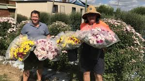 Maybe you would like to learn more about one of these? How You Can Help Harvest Mother S Day Flowers For The Endeavour Foundation The Courier Mail