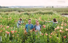 Maybe you would like to learn more about one of these? Small Space Flower Farming Part 1 Floret Flowers
