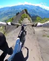 File this under nope, Nope NOPE!...