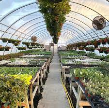 We are family owned and operated. Schaffitzel S Flowers Home Facebook