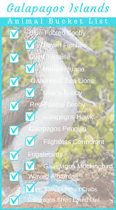 Unique Galapagos Islands Animals You Must See Galapagos Islands Galapagos Galapagos Islands Travel