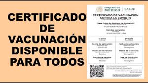 Por washington post | ago 16, 2021 las tarjetas de vacunación se están convirtiendo en algo tan importante como la licencia de conducir y de allí que muchos busquen falsificarlas. Tu Certificado De Vacunacion Contra Covid 19 Por Whatsapp Facilisimo