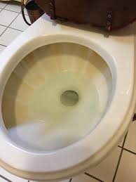 Call today for better water tomorrow. Iron Stains In Toilet Central Indiana Well Water We Use Water Softener With Iron Reducing Salt I Scrub Daily And Its Just Building Up I Ve Used Scouring Powder Ironout And Worn Out My