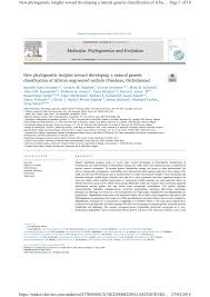 Image result for Tridactyle scottellii