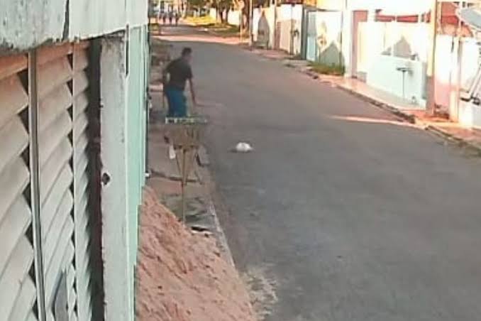 Suspeito de matar gato com peda&ccedil;o de madeira &eacute; preso e multado em R$ 10 mil