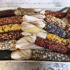 Este ramillete de espigas decorativas lo hacemos en nuestro taller, con piñas y algodones naturales, para que tú lo luzcas no solo en navidad, sino en cualquier época del año. Espigas De Milho Decorativas Flores Frescas Online