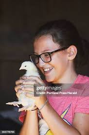 24 Underhill Farm Stock Photos, High-Res Pictures, and Images