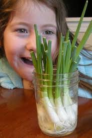 MARY TAULBEE (mtaulbee1875)