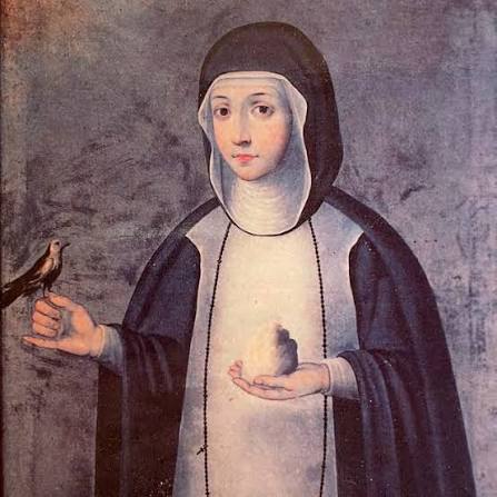 Santa Catalina Tomàs. Guia de lectura de la XBM