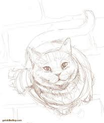 another beautiful fan art from fb page james bowen street cat bob cat art cat drawing street cat bob