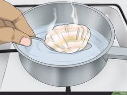 How To Drill A Hole In A Seashell Without A Drill Oyster Shell Crafts Seashell Projects Sea Shells Diy