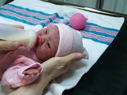 Birds And Bees Nursery Birds Bees Nursery Silicone Babies Silicone Reborn Babies Baby Dolls For Sale Reborn Baby Boy Dolls