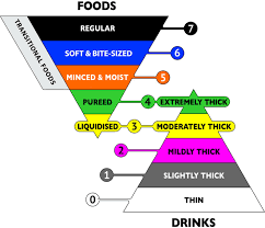 Figure 1 From The International Dysphagia Diet