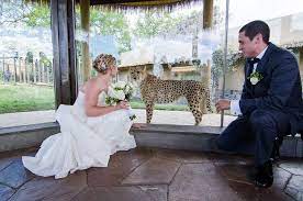 Columbus Zoo Aquarium Reception Venues Columbus Zoo Zoo Wedding Columbus Wedding Venues